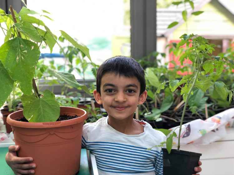 Adi with his favourite plant 'Leafy' and a tomato seedling