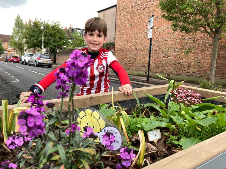 Felix Klimowski first started growing the plants in March