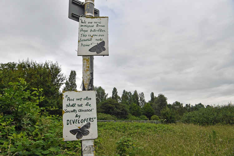 Wormwood Scrubs is home to birds , Campaigners are unhappy with HS2 work on Wormwood Scrubs. Image Credit: Grahame Larter