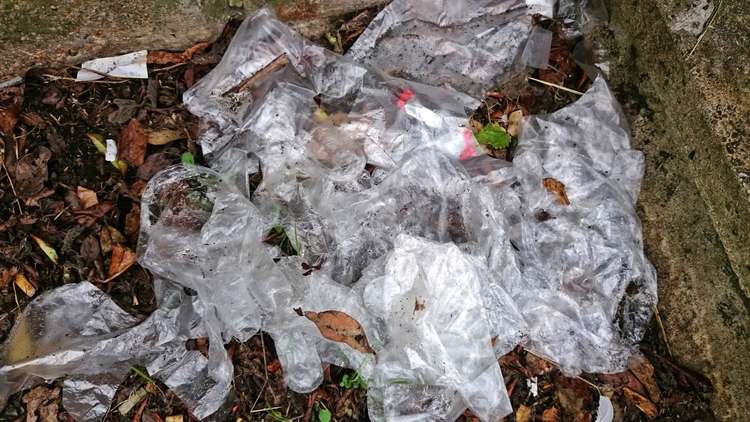 Litter nuisance. Credit Mark Percy Litter nuisance. Credit Mark Percy