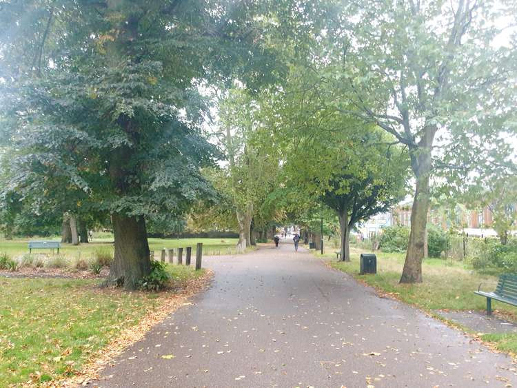 Acton Park in the rain. (Image: Hannah Davenport)