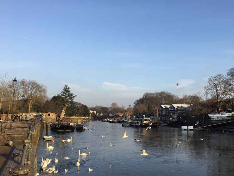 Twickenham Riverside by Ruth Wadey