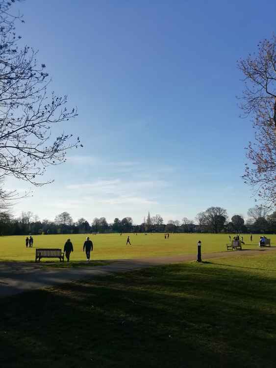 Marble Hill Park last summer