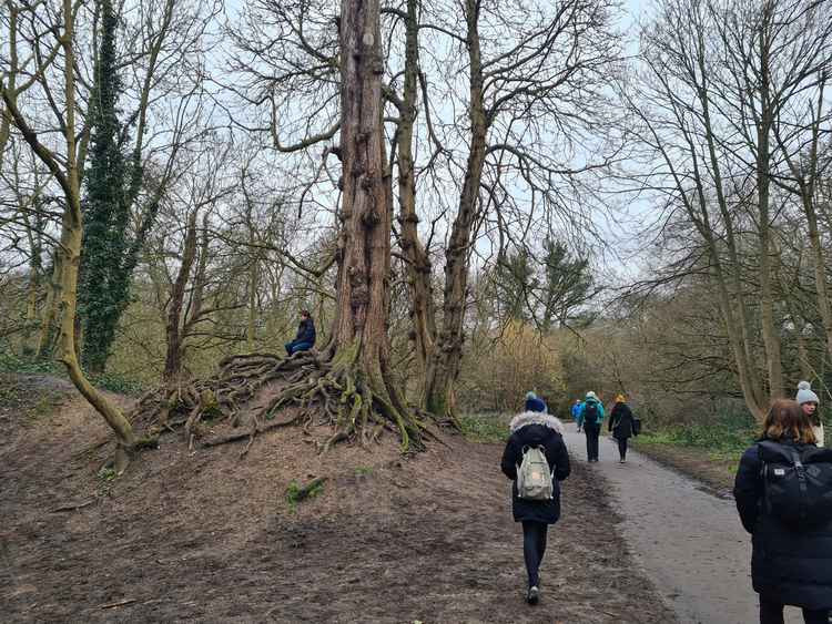 River Crane Walk