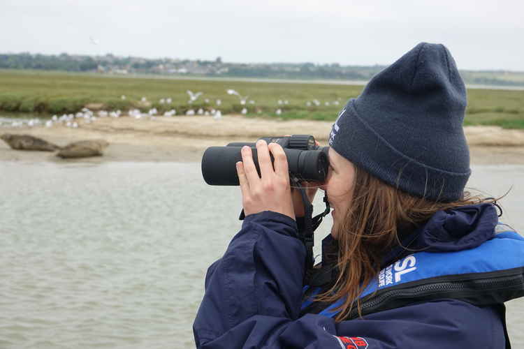 Seal watch