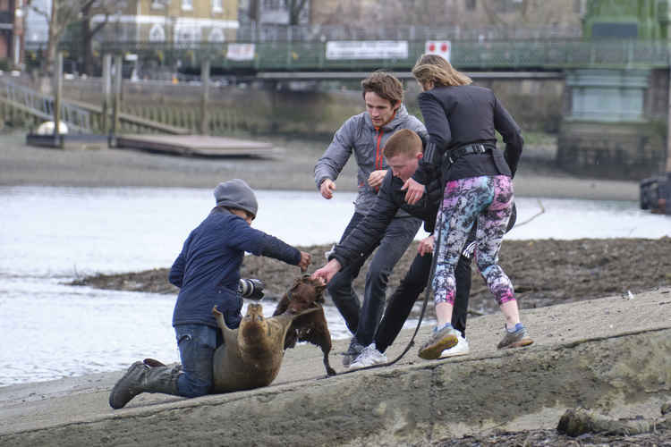 Attemps to get the dog off Freddie (picture: Duncan Phillips)