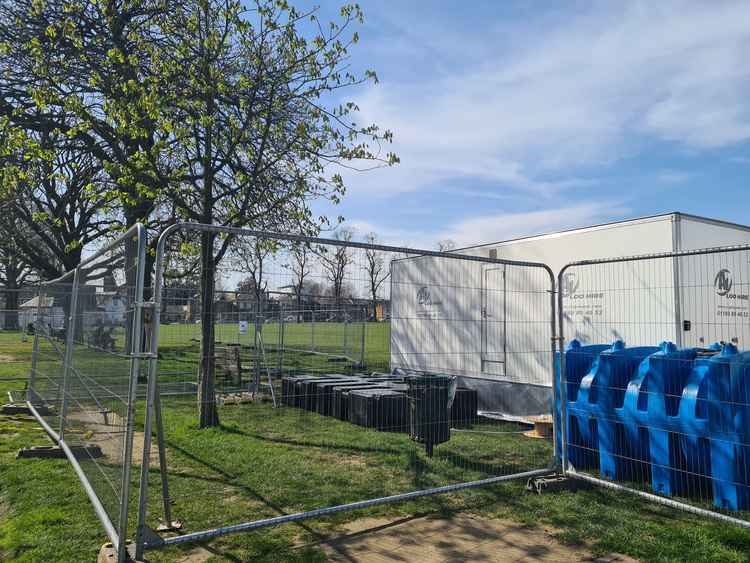 Trees are fenced off to let the soil around horse chestnut trees regenerate