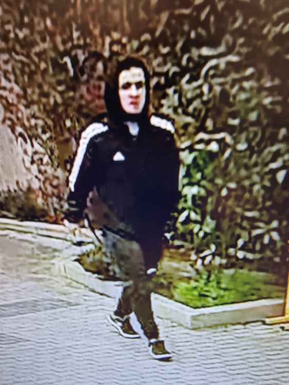 Full sized image of the suspect