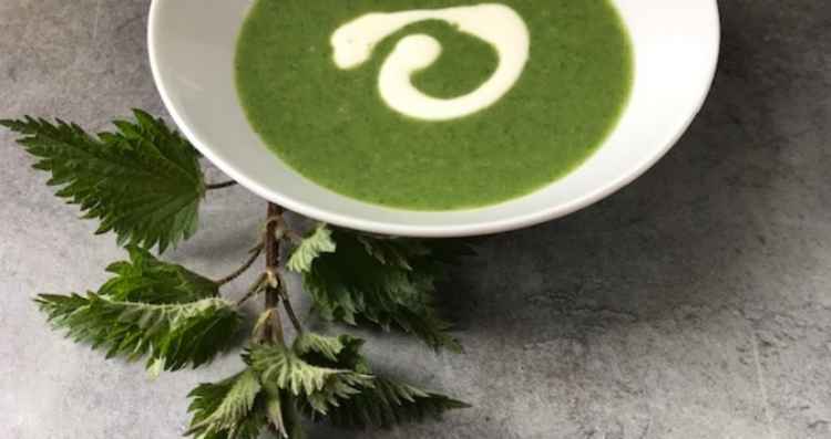 Belinda's Nettle Soup