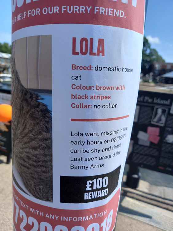 More information about Lola