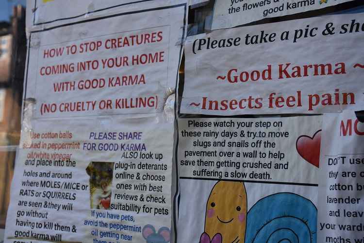 The Twickenham newsagent runs its services on the Hindu principle of Karma