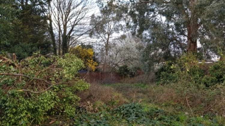 The site before: "It has been there so long it was a wildlife haven" (Image: Howard Roberts, FOTG Environment Officer)