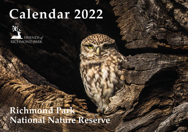 The calendar 2022 front cover. © Tammy Marlar.