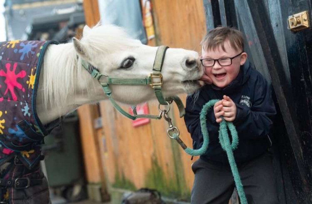 Park Lane Stables could soon be back in Teddington. Pictured: Woody and Frenchie the horse (Image: Park Lane Stables)