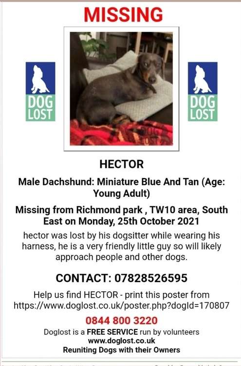 Hector's missing poster.