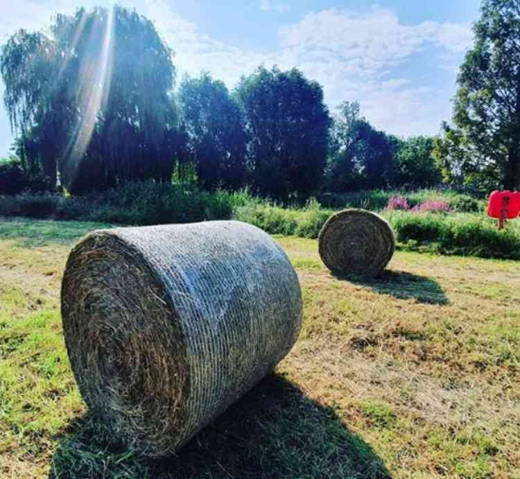 Hitchin breakfast briefing Wednesday August 12. CREDIT: @HitchinNubNews instagram