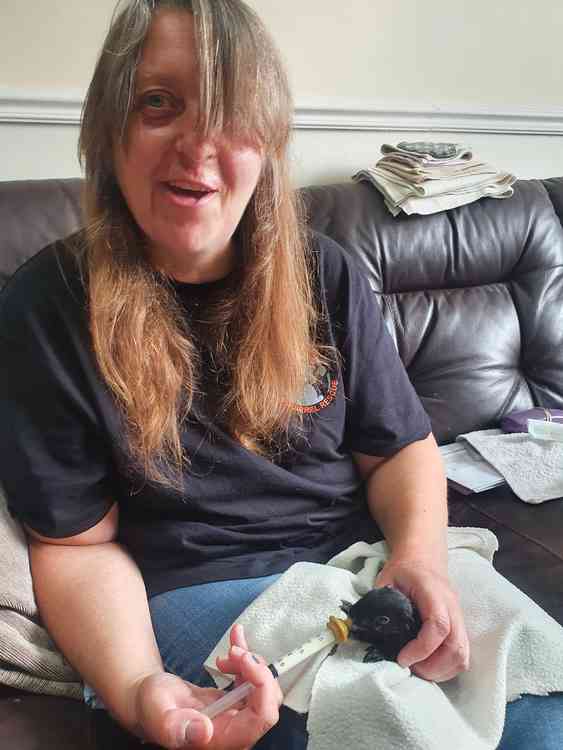 Ania Allum feeds a baby squirrel. CREDIT: Hitchin Nub News