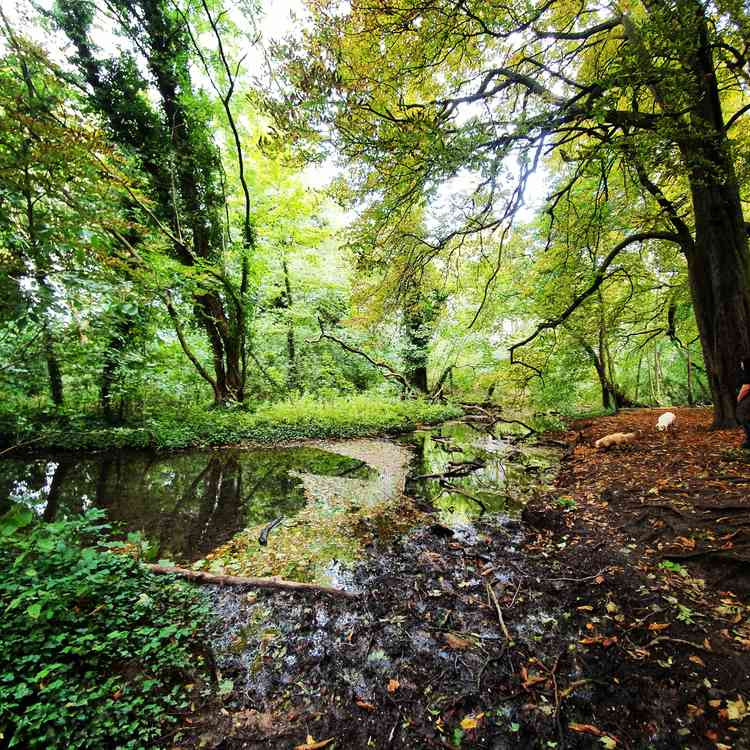 Hitchin brunch briefing bank holiday Monday August 31. CREDIT: Ouughtonhead Nature Reserve. CREDIT: Hitchin Nub News Instagram