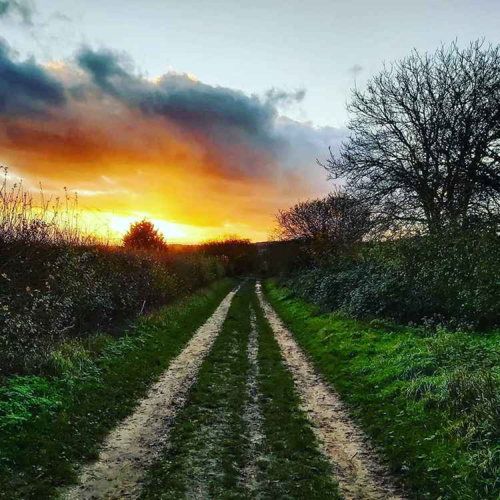 Hitchin breakfast briefing Tuesday November 24. PICTURE: Late afternoon light on the Icknield Way. CREDIT: SPARKY