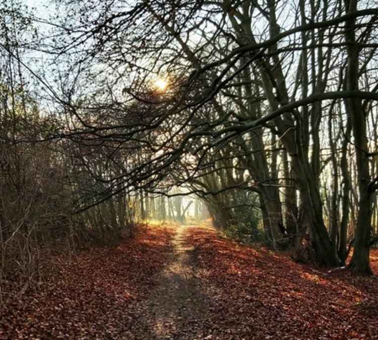 Sparky's Hitchin View:  Roots, Rock and Rebels: a walk back in time on the Icknield Way. CREDIT: 'Sparky'