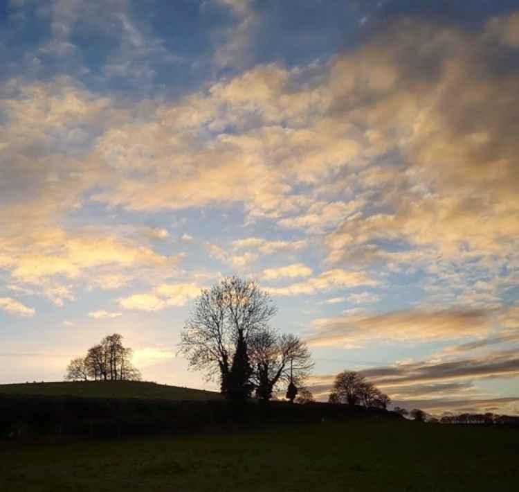 Sparky's Hitchin View: A winter's day in a deep and dark December as solstice looms. CREDIT: Sparky