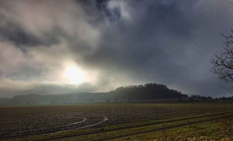 Sparky's Hitchin View: The trees in the clouds - a contemplation on the Clappers. CREDIT: Sparky