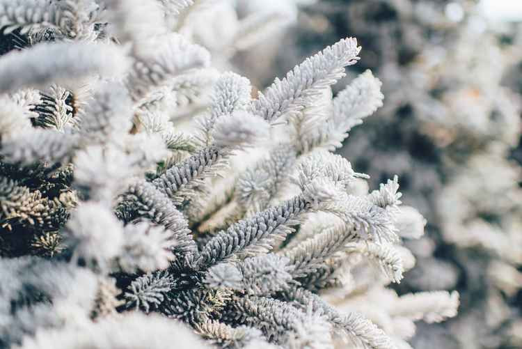 Herts County Council weather service updates as sub zero temperatures bring snow. CREDIT: Unsplash