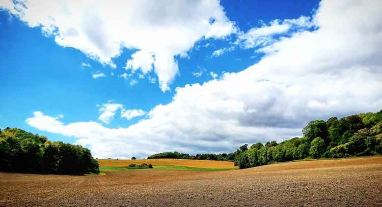 Sparky's Hitchin View: A St Valentine's day love letter to a special place. CREDIT: Sparky