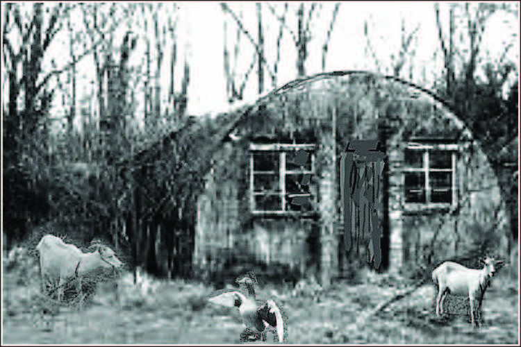 The Nissen hut at The Camp where local character Suzanne lived an kept animals