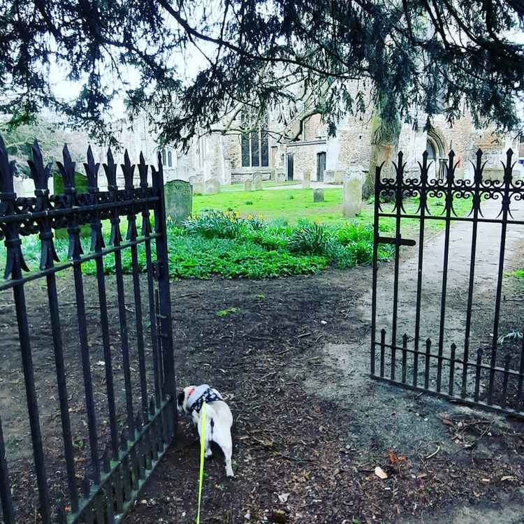 Hitchin's St Mary's Church gate mystery is finally solved! CREDIT: Danny Pearson
