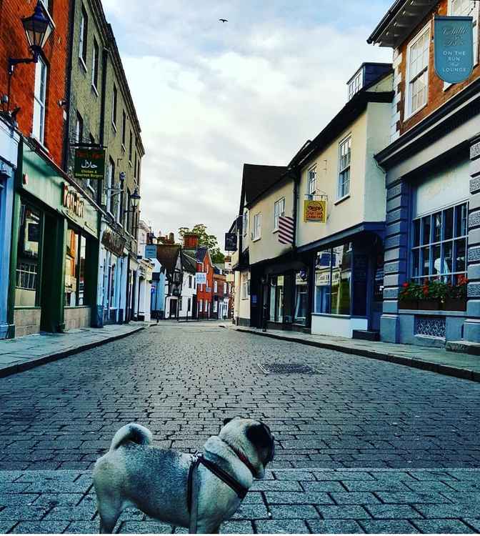 Hitchin: TrendLife Magazine survey - Five things missing from our town. PICTURE: Bucklersbury at dawn during lockdown with Jess the adorable pug. CREDIT: Danny Pearson