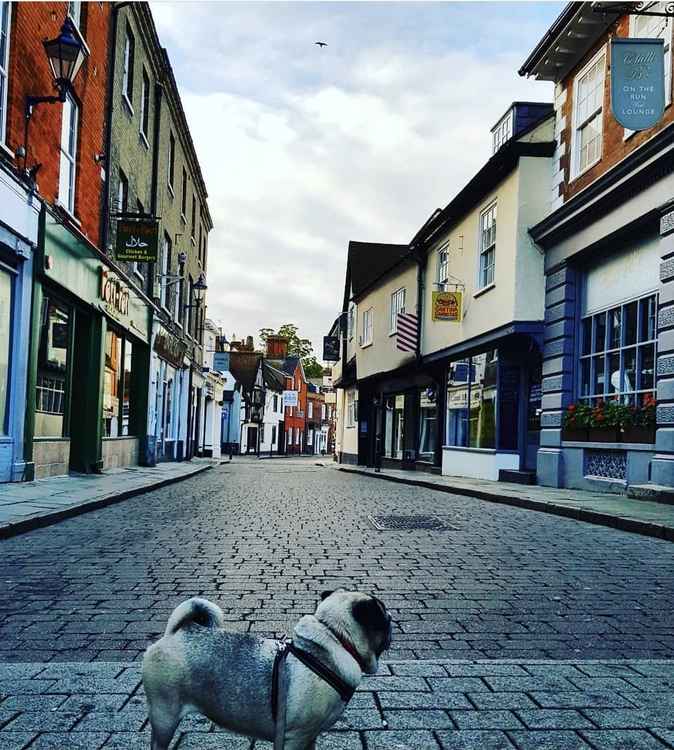 Hitchin: 'Then and Now' - Bucklersbury. PICTURE: An early morning shot of Bucklersbury and beautiful pug Jess during lockdown taken by Danny Pearson. CREDIT: Danny Pearson