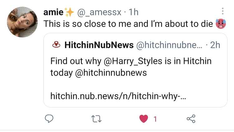 Harry Styles fan Amie @_amessx jokes about his visit to Hitchin