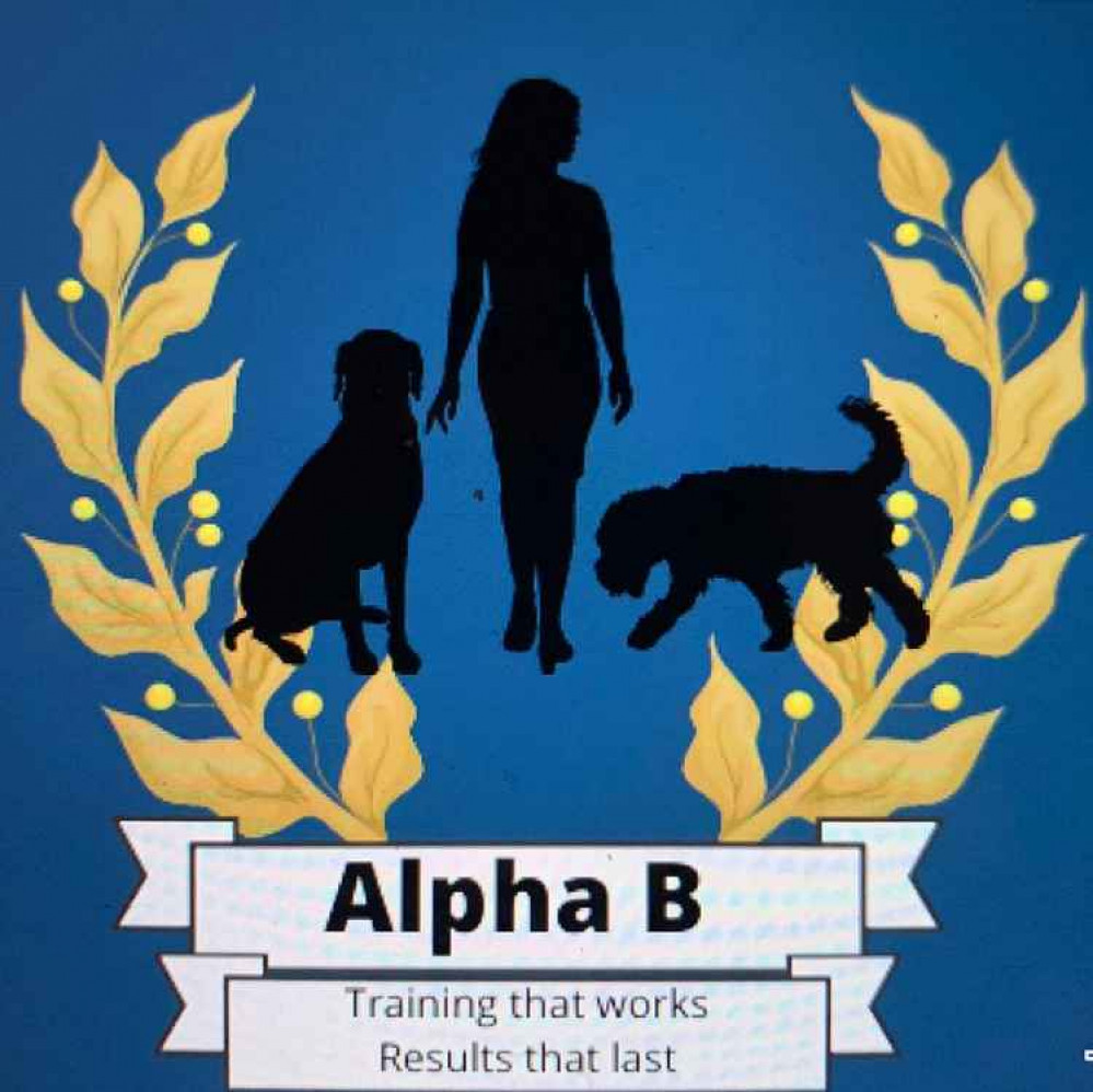 Dog Training Classes with Alpha B