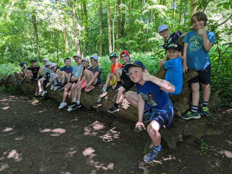 Year 3 & 4 children reconnecting in the forest with classmates ahead of den building.