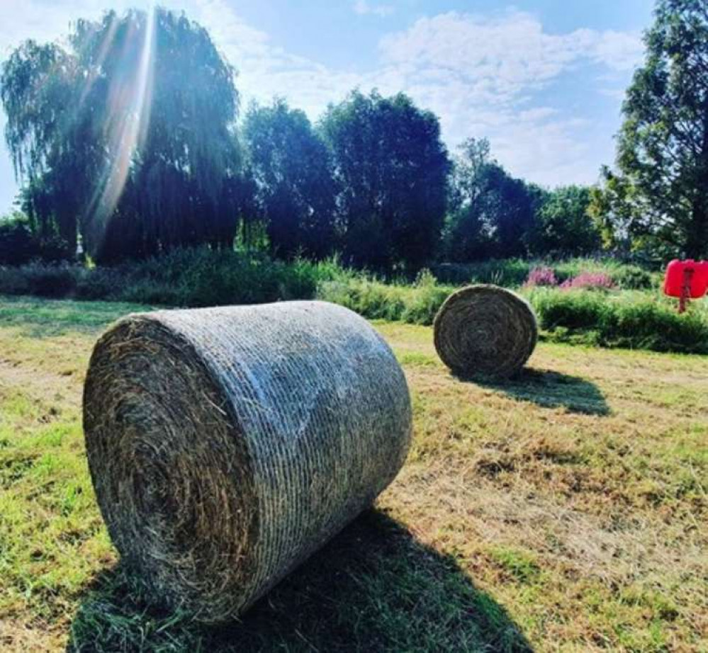 Hitchin: Find out when our September heatwave weather will end. PICTURE: Butts Close basks in the September sunshine. CREDIT: @HitchinNubNews