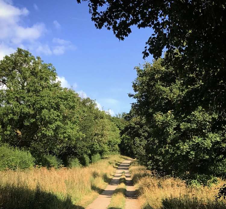 Bim Afolami MP calls for greater protections for Hitchin countryside