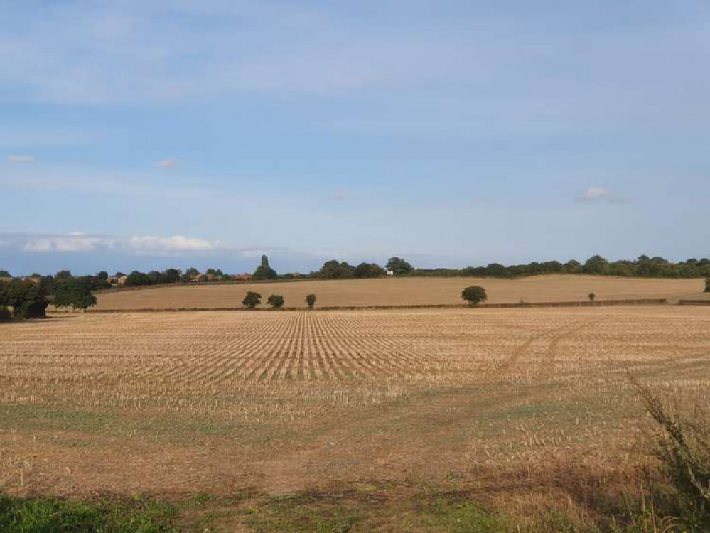 Sparky's Hitchin View: Let's hit the bottom: Lilley Bottom. CREDIT: @laythy29