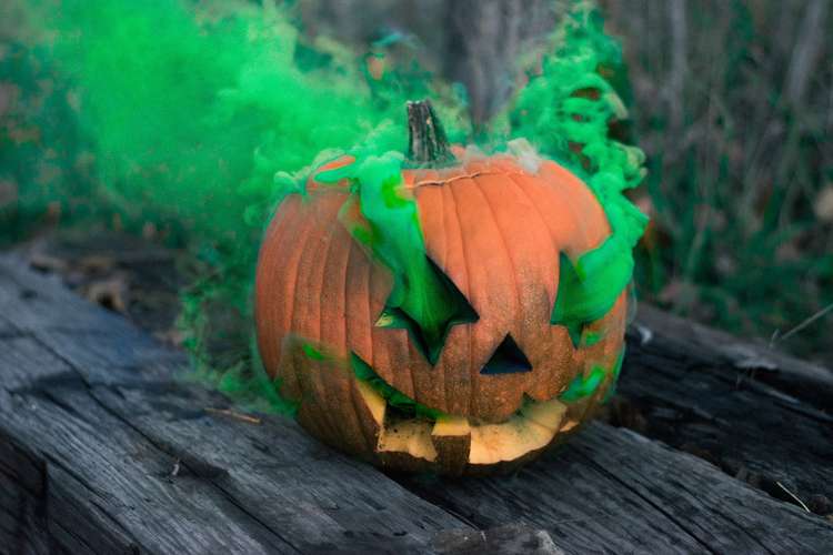What's On in Hitchin this Halloween weekend. Head to Offley Hoo Farm for their Halloween Jamboree. CREDIT: Unsplash