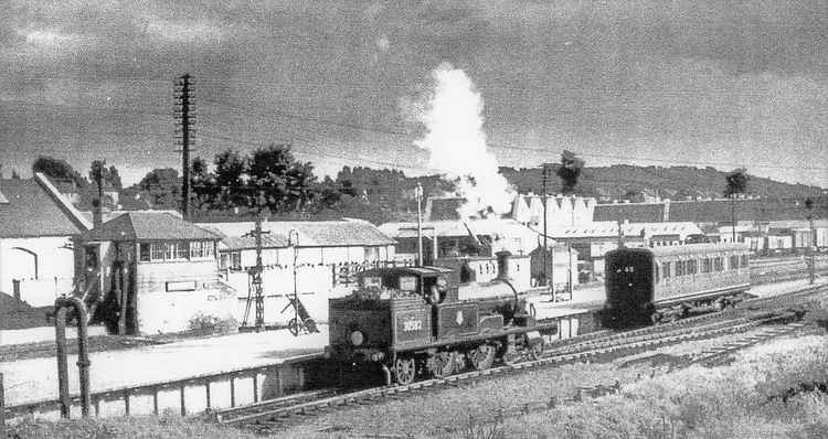 The Axminster to Lyme Regis branch line -the original "Bluebell Line" - on which we travelled for day's out on the beach at Lyme