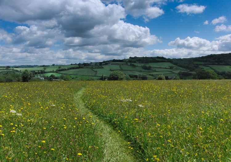 The events will be held at the Goren wildflower farm in Stockland