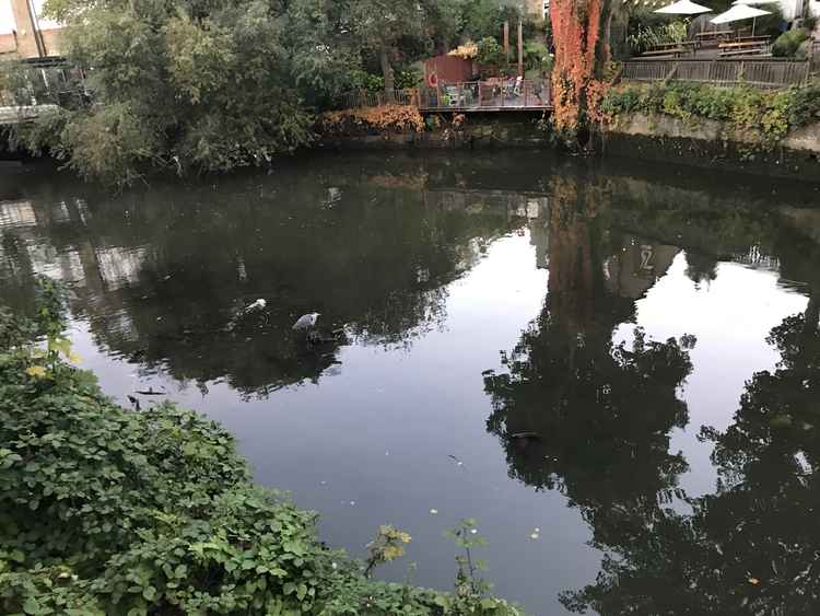 Shadows in The Grand Union Canal