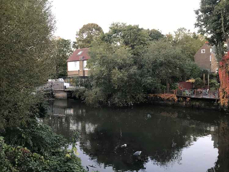 Autumn envelops Brentford