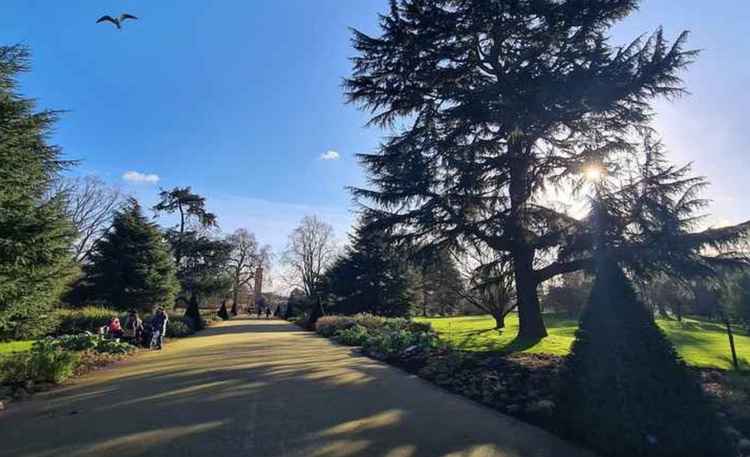 Blues skies over Kew