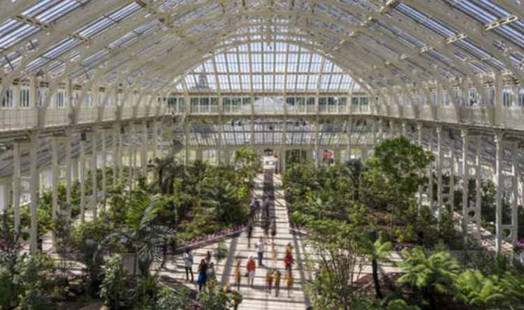 Inside the Temperate House (picture: Gareth Gardner)