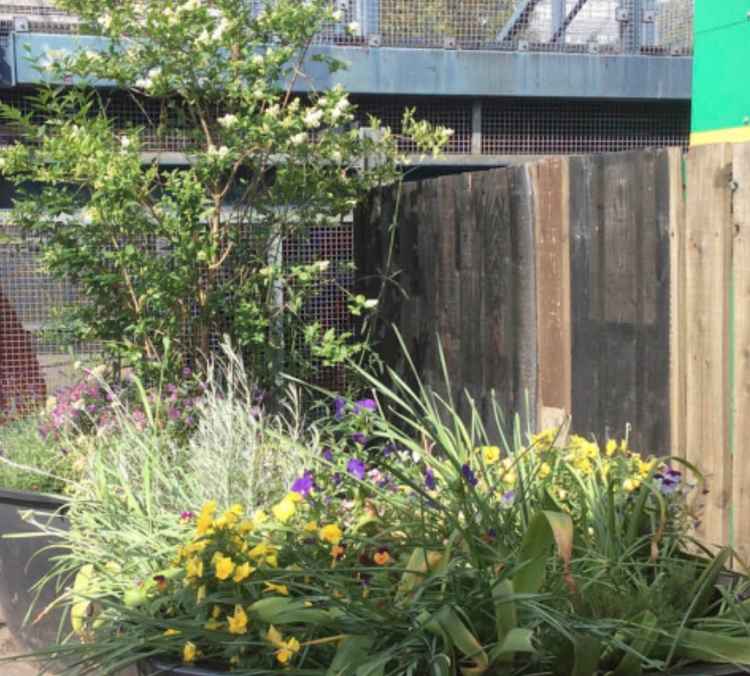 The new plant container at Brentford station