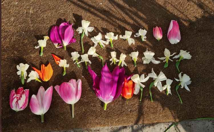 The flower heads were left on a doormat. Picture: @thejeremyvine