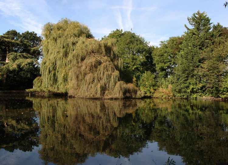 Boston Manor Park received funding for improvements
