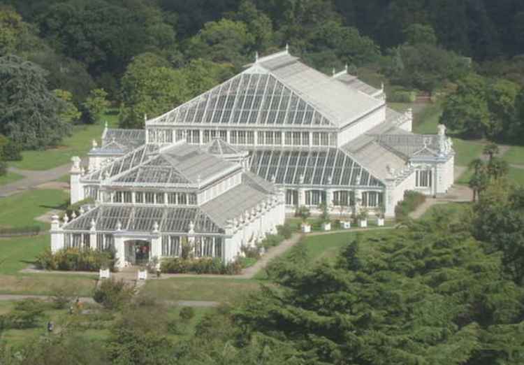 Kew's Temperate House features in tonight's episode (Image: David Hawgood)