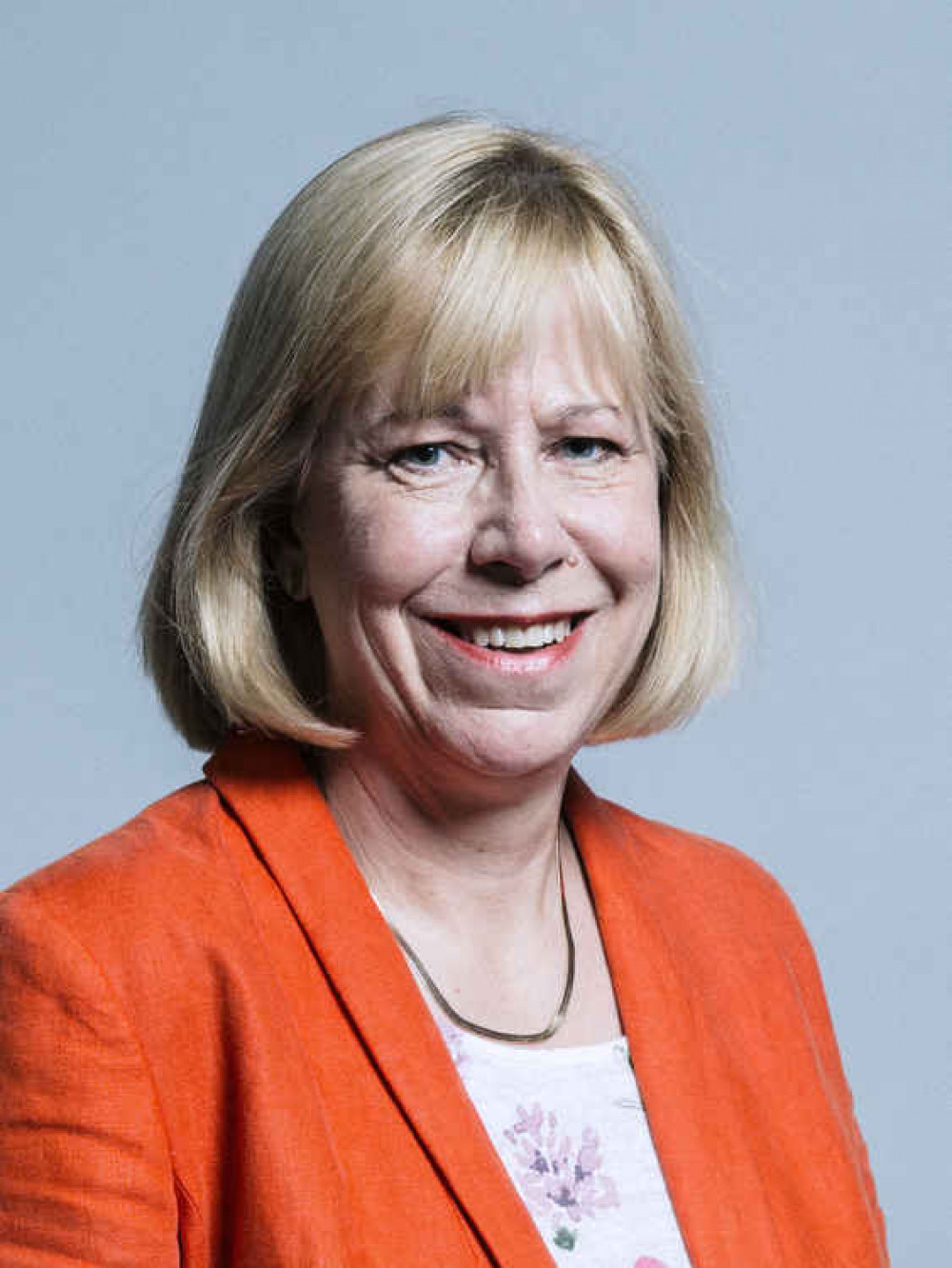 Brentford and Isleworth MP, Ruth Cadbury, is pushing the government for a package of support for the 'almost uniquely affected' aviation industry. Image Credit: Wikipedia